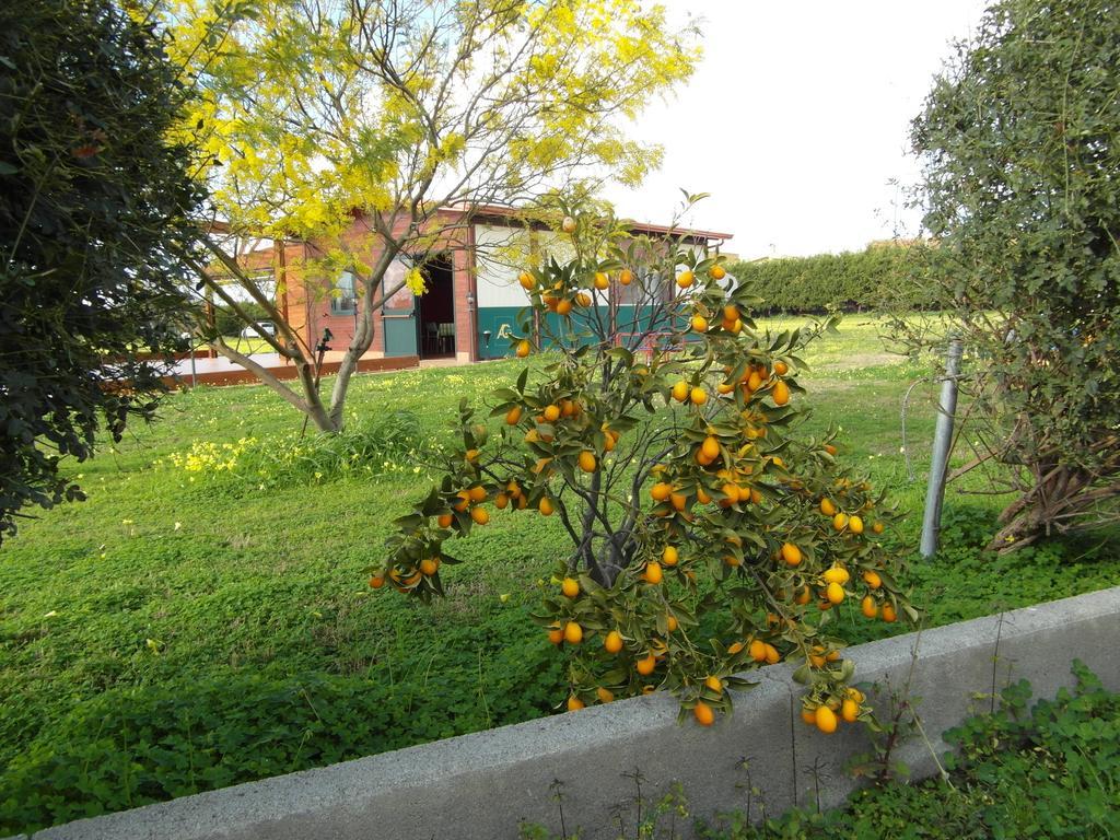 Agriturismo Il Gelsomino Ritrovato Milazzo Eksteriør bilde