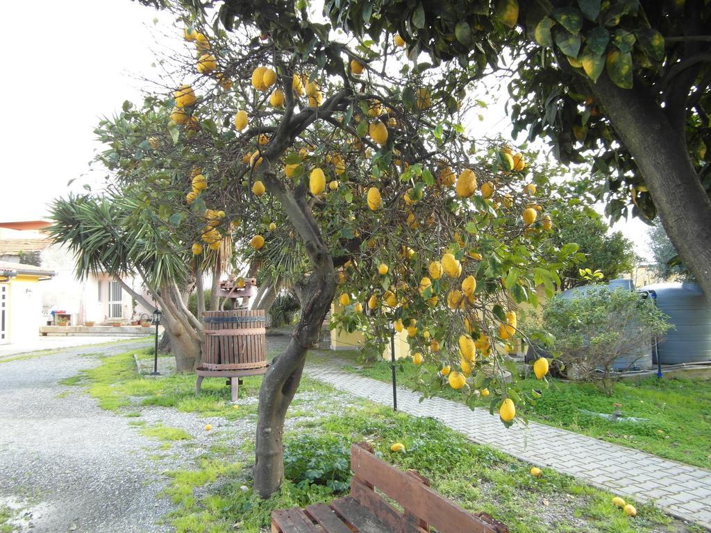 Agriturismo Il Gelsomino Ritrovato Milazzo Eksteriør bilde