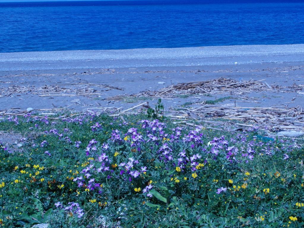 Agriturismo Il Gelsomino Ritrovato Milazzo Eksteriør bilde
