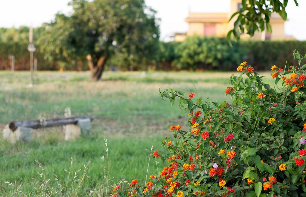 Agriturismo Il Gelsomino Ritrovato Milazzo Eksteriør bilde
