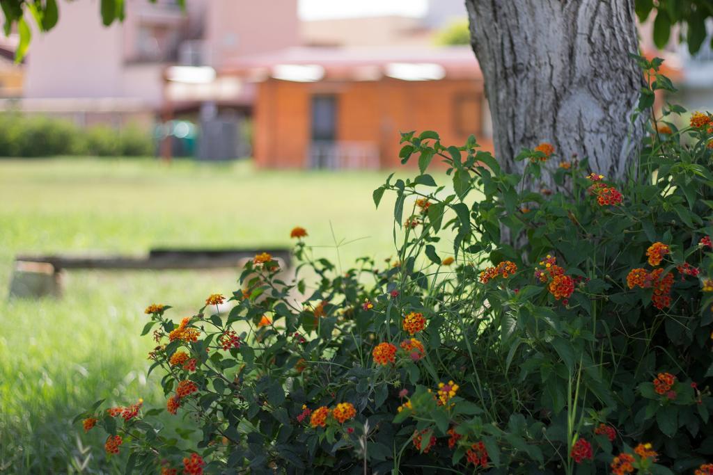 Agriturismo Il Gelsomino Ritrovato Milazzo Eksteriør bilde